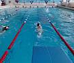 Спартакиада среди предприятий города Владимира - плаванье