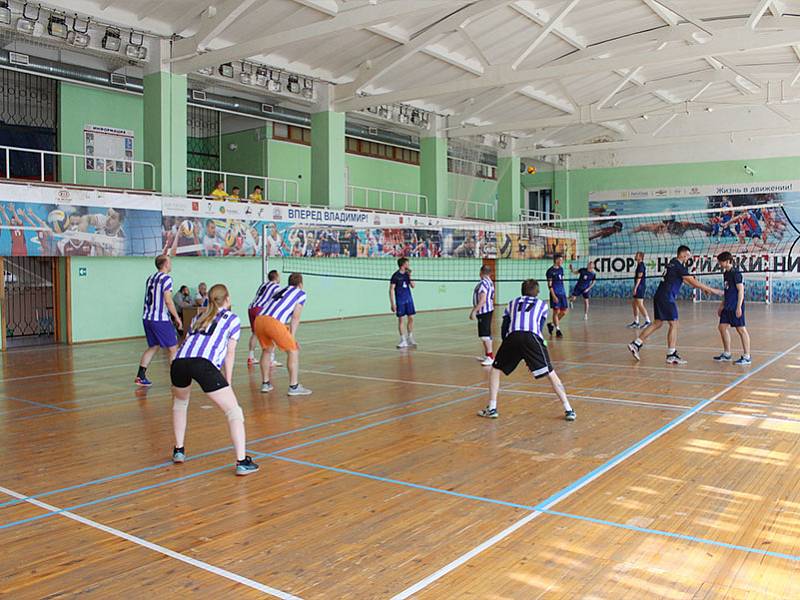 Спартакиада среди предприятий города Владимира - Волейбол